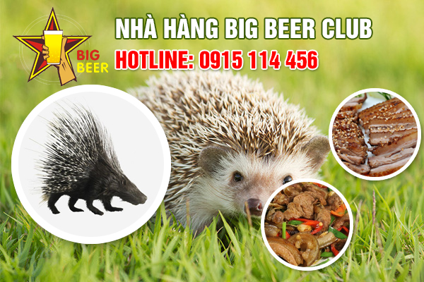 Đặc sản: Nhím đủ món