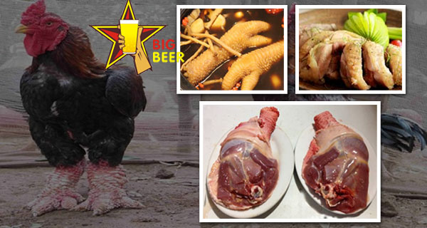 [Đặc sản] - Gà Đông tảo đủ món