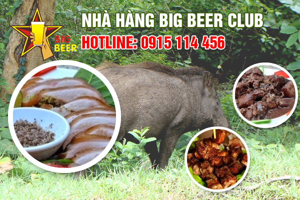 Đặc sản: Lợn rừng đủ món