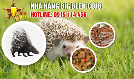 Đặc sản: Nhím đủ món