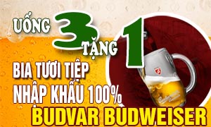[Khuyến mại] Uống 3 tặng 1 bia tươi Budvar Budweiser